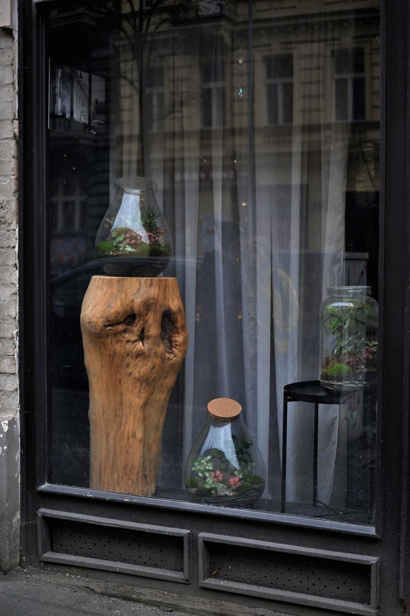 atelier Lucie Mosr Milujeme mech výloha zvenku 2026 01s